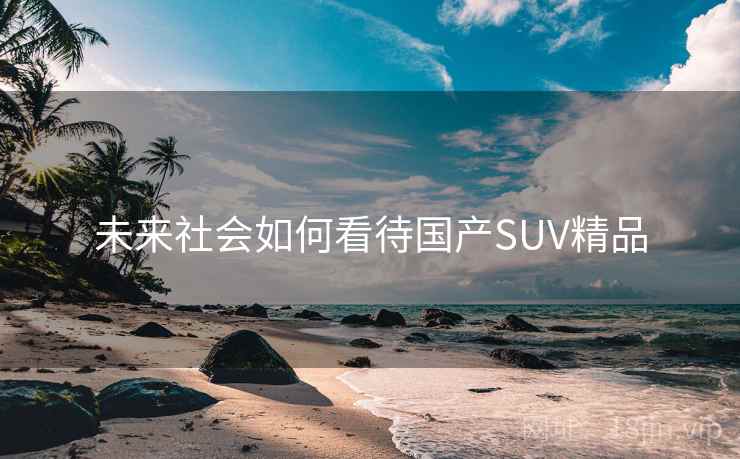 未来社会如何看待国产SUV精品 第2张 未来社会如何看待国产SUV精品 第2张
